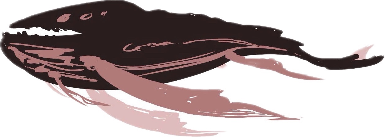 The Whale